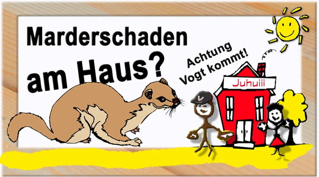 Marderschaden am Haus? Achtung Vogt kommt!